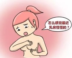 �鷿�������ܳ�ʲô��