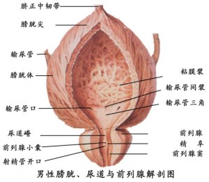 ǰ������ô�k