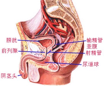 ǰ����ʹ��ԭ��