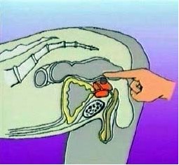 ǰ����ʹ��ô�k