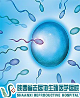 ʲô�ǟo���Y