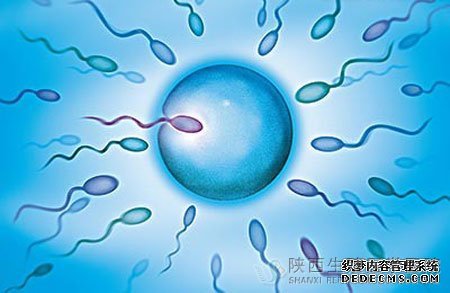 ��Һ���Ķ��ٕ�Ӱ����Ե�������