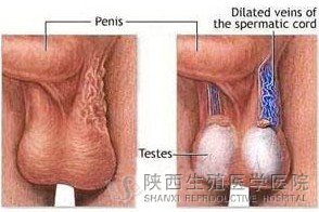 ���˾����o�}����������g(sh��)�ί��᣿