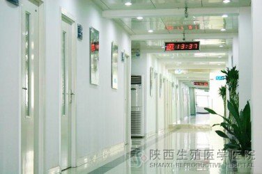 寬敞明亮的走廊