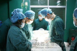 ����֪����������Ʋ�ʿ����Ժ�W�g���������gչʾ