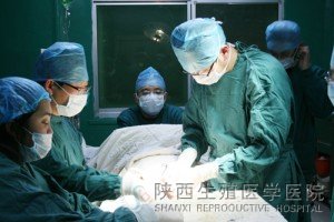 ����֪����������Ʋ�ʿ����Ժ�W�g���������gչʾ