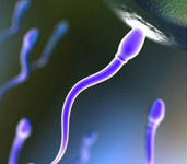 ����o���Y��ԭ������Щ��